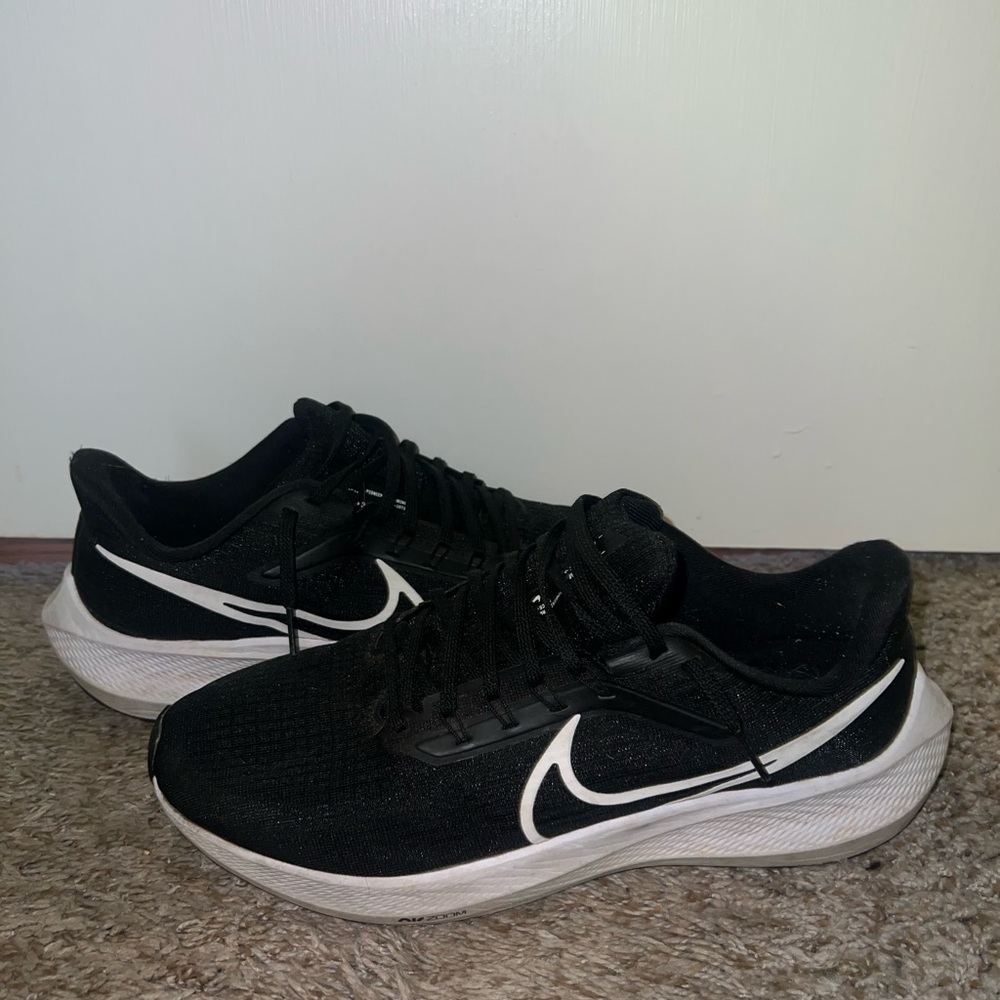 Nike Pegasus 39